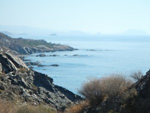 DSCN2314