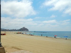 DSCN2338