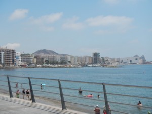 DSCN2341