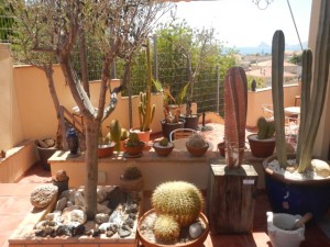 DSCN2353