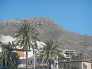 DSCN2368