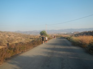 DSCN2393