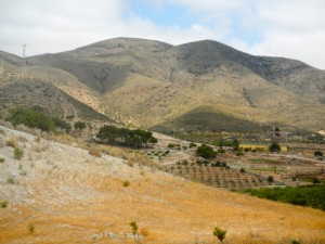 DSCN2452