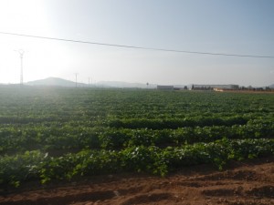 DSCN2511