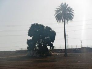 DSCN2514