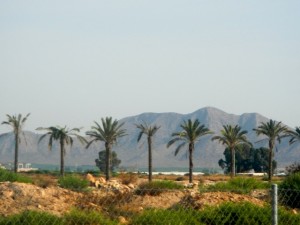 DSCN2517