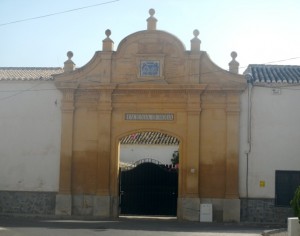 DSCN2525