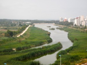 DSCN2554