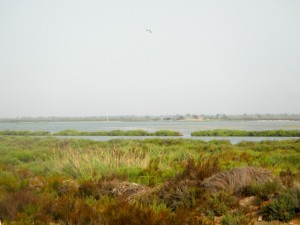 DSCN2575