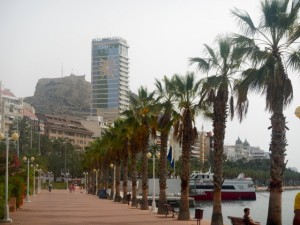 DSCN2585