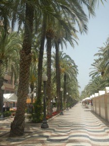 DSCN2603