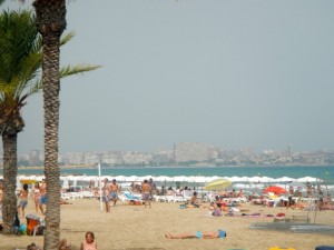 DSCN2615