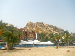 DSCN2618