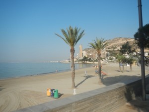 DSCN2693