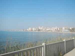 DSCN2705