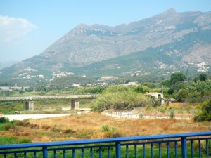 DSCN2746