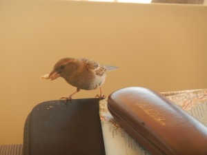 DSCN2839