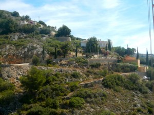 DSCN2849