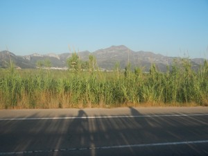 DSCN2899