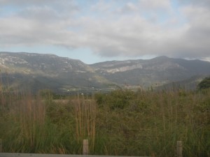 DSCN2903