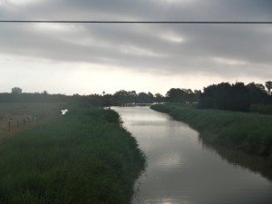 DSCN2905