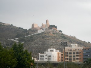 DSCN2906