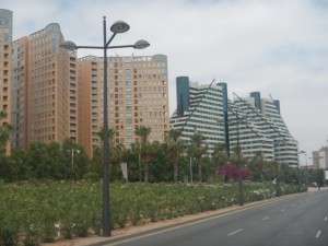 DSCN2931