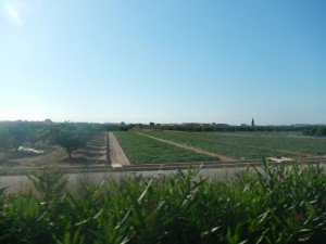 DSCN2949