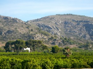 DSCN3055