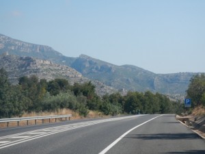 DSCN3210
