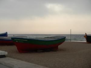 DSCN3739