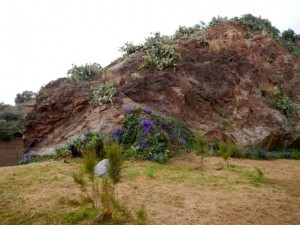 DSCN3747