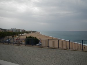 DSCN3769