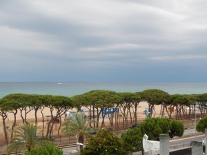 DSCN3775