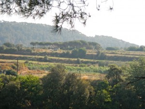 DSCN3791