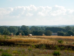 DSCN3804