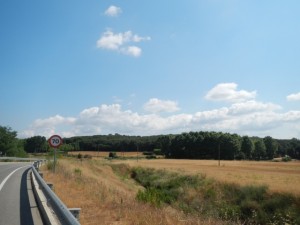 DSCN3808