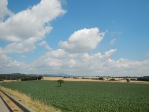 DSCN3813