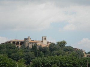 DSCN3822
