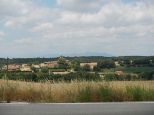 DSCN3823