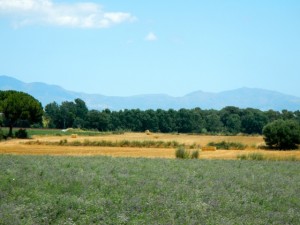 DSCN3829