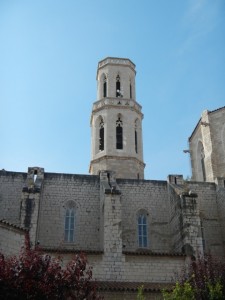 DSCN3854