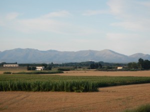 DSCN3859