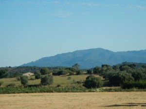 DSCN3869