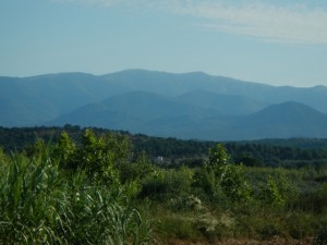 DSCN3872
