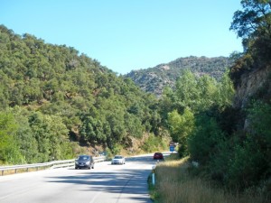 DSCN3879
