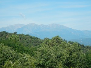 DSCN3892