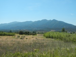 DSCN3901