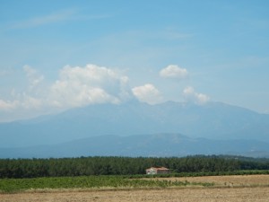 DSCN3924