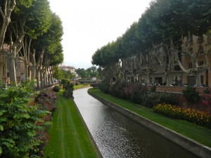 DSCN3950